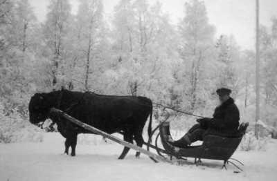 Aku Hakanpään arkisto