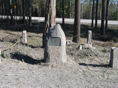 Miekkainpetäjä on ikivanha kelo, joka seisoo Miekkainpetäjän hautausmaan porttia vastapäätä tien toisella puolella, Jämsän ja Jämsänkosken kuntien rajalla (80 % Jämsänkosken puolella, 20 % Jämsän), yksityisellä maapohjalla. Miekkainpetäjään liittyy runsaasti perimätietoa. 