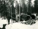   Loading logs in the forest in 1938. Photo: Foto Roos.