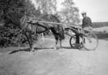   Lauri Patajoki and gelding Ruso